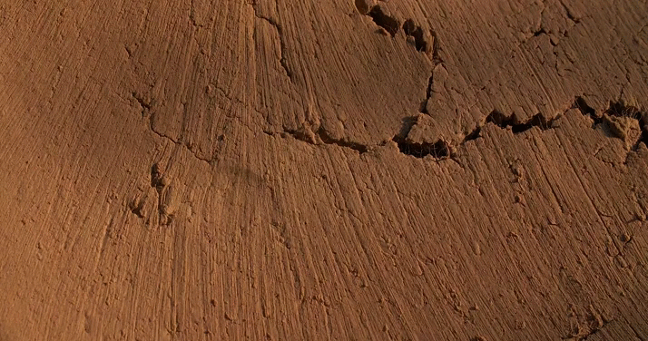 Yang Earth