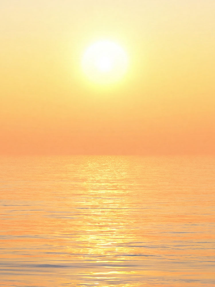 Summer Escapism